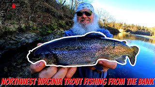 Trout Fishing Northwest Arkansas White River From The Bank