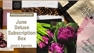 June Deluxe Subscription Box *Spoiler Alert* | Jane’s Agenda | Classic Discbound Planner