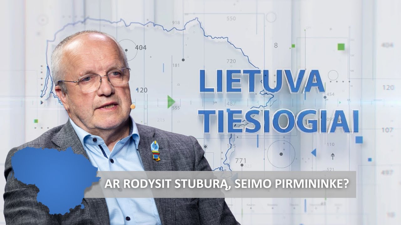 Seimo pirmininkas: apginsime ir laisvą žodį, ir kitą nuomonę