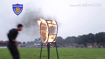 Cảnh sát cơ động