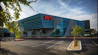 UFC Performance Institute: Meet The Team