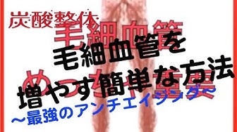 毛細血管 Youtube 毛細血管 Youtube