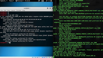 Basic socket programming in python