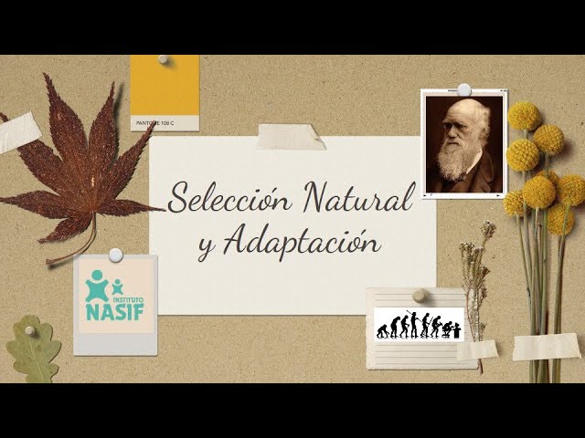 UNIDAD 9: 4. Selección Natural | Adaptación - G1&2