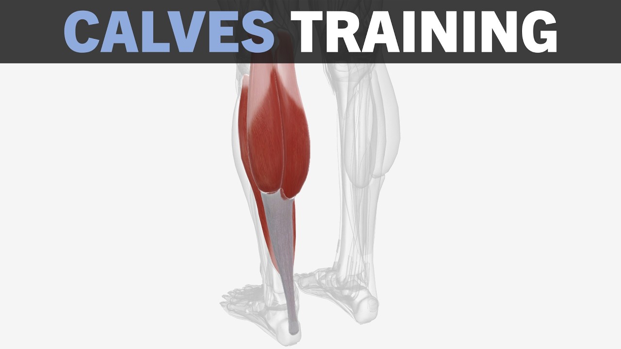 Calves Hypertrophy Training Fundamentals