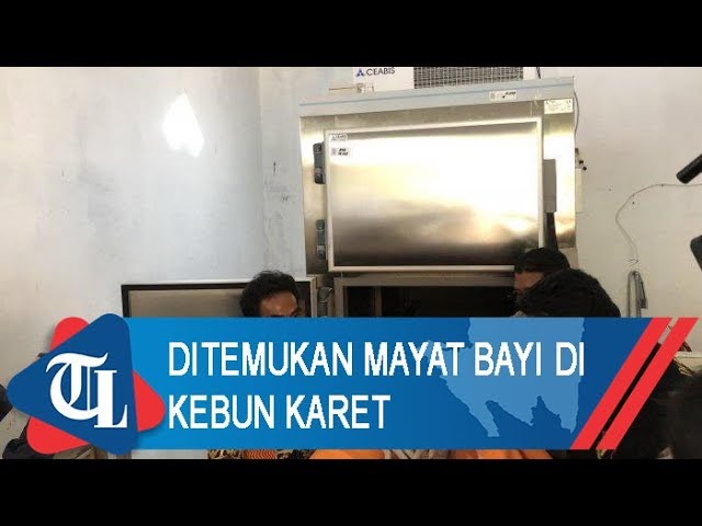 Mayat Bayi Ditemukan Di Kebun Karet | Tribun Lampung News Video class=