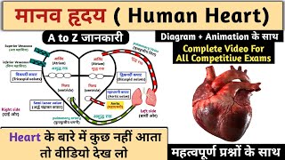 मानव हृदय की संरचना🫀| Human heart structure and function | Biology | Study vines official