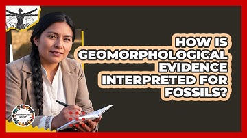 How Is Geomorphological Evidence Interpreted For Fossils?