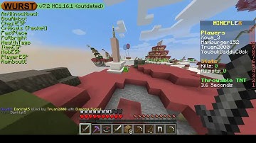 Hacking with wurst on mineplex