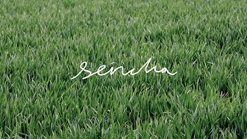 Sencha - Uncloud