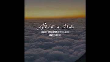 واضرب لهم مثل الحياة الدنيا -  قراءة جميلة -  القارئ الشيخ ماهر المعيقلي