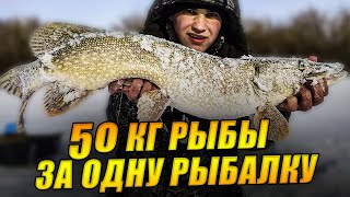 ПО 3 ЩУКИ на ЖЕРЛИЦУ! РВУ ЛЕСКИ, ГНУ ПОВОДКИ и КРЮЧКИ! Сколько РЫБЫ можно ПОЙМАТЬ за 3 ДНЯ РЫБАЛКИ?!