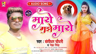 AUDIO | मारो मुझे मारो | Banshidhar Chaudhary , Neha Singh | Maithii  Song | Maro Mujhe