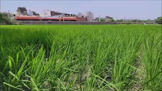 2022/05-電力機車E101迴送8795次,竹北=追分區間.