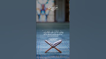 وَمَا كَانَ النَّاسُ إِلَّا أُمَّةً وَاحِدَةً فَاخْتَلَفُوا ۚ ||القارئ عبد الرحمن مسعد #quran #قرآن