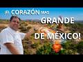 Explora los tesoros de Mexticacán y sus alrededores con nuestros nuevos guías - Padre Arturo Cornejo