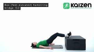 Box (feet elevated) hamstring bridge ISO