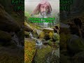 Kehidupan Yang Abadi [ Kehidupan Akhirat ]