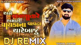 અમે વખણાતારે અમારી વાયકાના વાવટા ચારે બાજુ |djremix |new trending song | mix by mb dj remix savpura