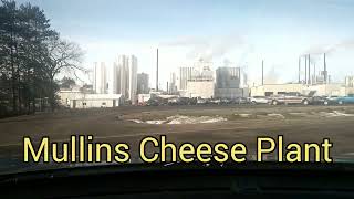 Mullins Cheese
