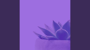 Sublime Backdrops for Unwinding from Work