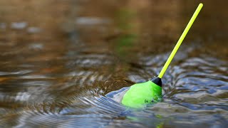 :     6 -      - Float Fishing on River