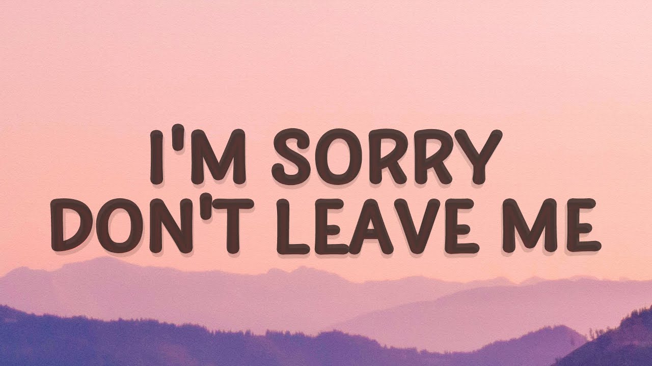 SLANDER – I’m Sorry Don’t Leave Me (Love Is Gone) (lyrics) ft. Dylan Matthew (acoustic)