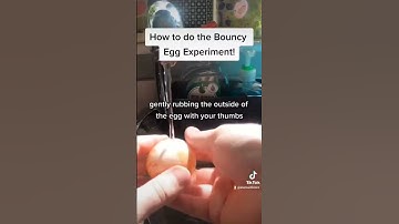 How to do the Bouncy Egg Experiment! #stem #shorts #science #experiment #bouncyegg #chemistry