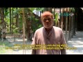 Endless search for an identity at Indo Bangla border v 1