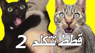 قطط تتكلم تجميعية مضحكة جدا للقطط - 😂😼 ستموت من الضحك ( جديد 2019 )