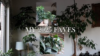 My top 10 favorite plants of 2025 ❤
