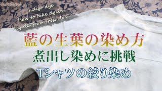 藍の生葉から煮出し染め 藍染 染液の作り方 Indigo Dyeing 田舎暮らし Youtube