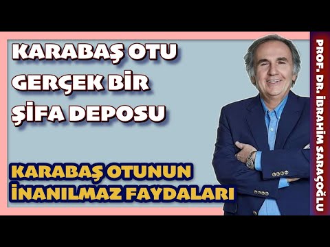 Video: Lamiaceae ailesi: açıklama