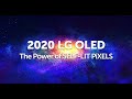 The Power of SELF-LIT PiXELS l LG OLED