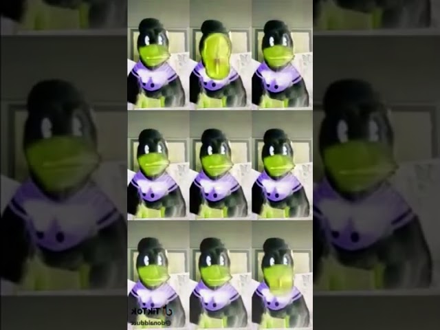 Mr Sandman Donald Duck Tik Tok XD Effects (Gamavision Csupo Effects) (Sony Vegas Version) class=