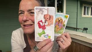 Dueling DOG Dialogues! ft. Dog Tarot, Low Rider, Barkana, Wise Dog & Canes Arcanae