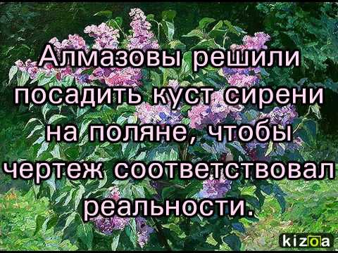 жена алмазова куст. рассказ куст сирени куприн. куст сирени куприн иллюстрации. произведения куприна куст сирени. куст сирени куприн.
