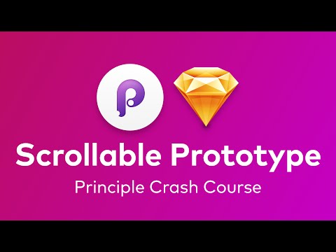 principle app crash principle app crash