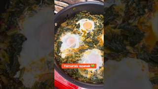 Annemin Tarifiyle Yumurtalı Ispanak 💚🥬 Resimi