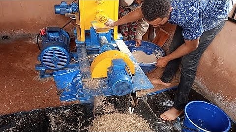 HOW TO PRODUCE FLOATING FISH FEED / INSTALLATION OF AN EXTRUDER MACHINE.