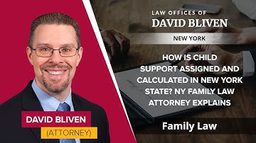 How Is Child Support Assigned And Calculated In New York State?