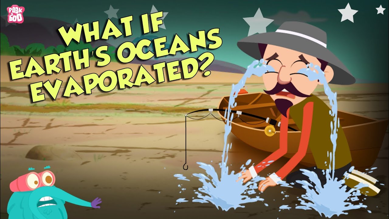 Why Doesn'T The Ocean Simply Reabsorb The Water That Evaporates?