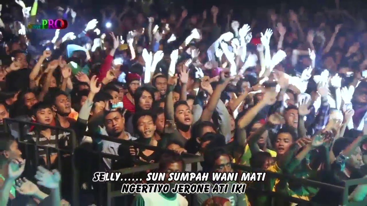 Wandra - Selly [OFFICIAL]