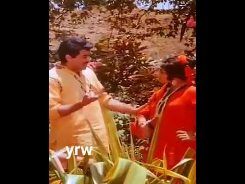 اغنيه هنديه دار مندر واشاباريخ جميله كريم 