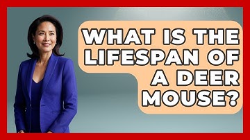 What Is The Lifespan Of A Deer Mouse? - Insects and Invaders