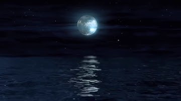 تلاوة من سورة آل عمران للشيخ د. محمد العامر فجر الخميس ٢٨-١٢-١٤٤٠هـ