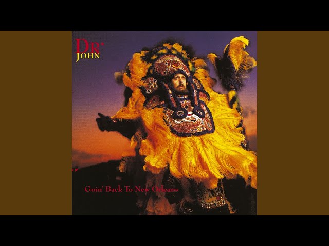 Dr. John - My Indian Red