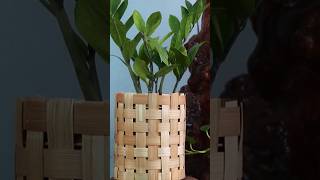 Trendy Bamboo planter #diy #planter #plants #homedecor #decor #diyhomedecor #planterideas