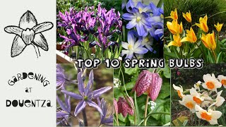 My Top 10 Spring Bulbs & How to Select || Quick & Easy Guide