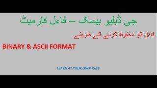 How to save File in Binary and ASCII Format in GW Basic URDU